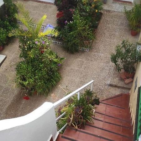 Apartamento Con Azotea Privada Para Parejas Y Familias Кониль-де-ла-Фронтера Экстерьер фото